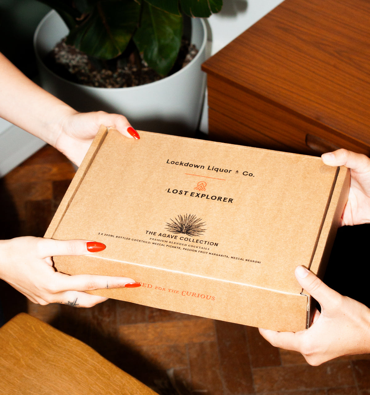 Agave Cocktail Gift Set