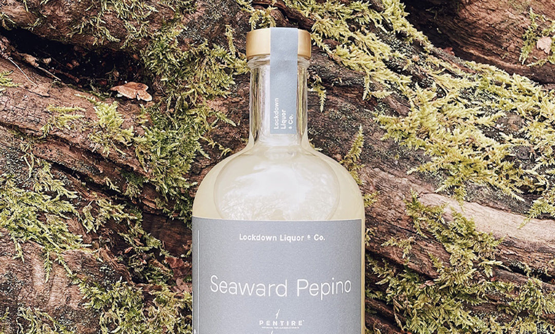 Introducing our Seaward Pepino with Pentire
