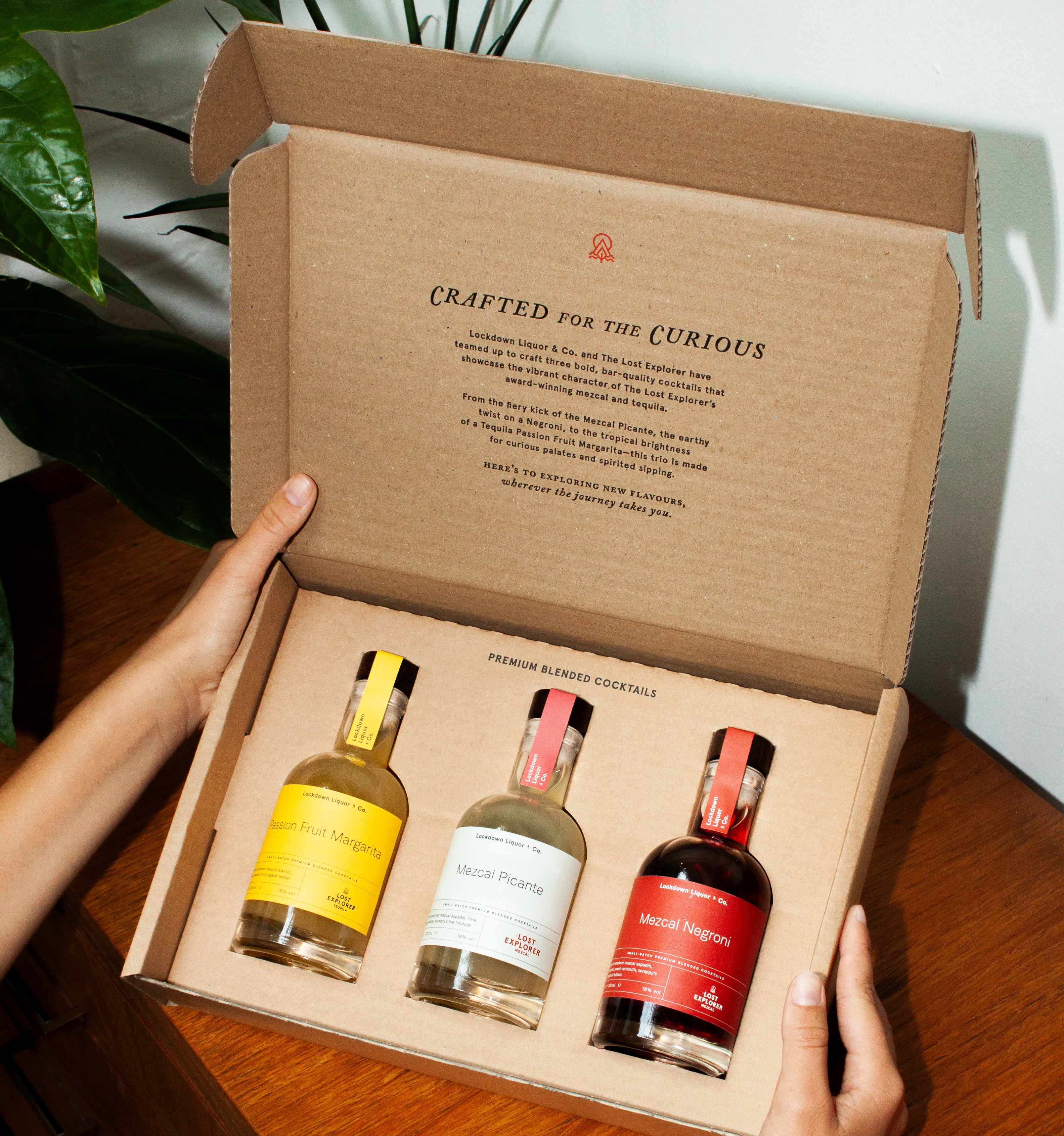 Agave Cocktail Gift Set