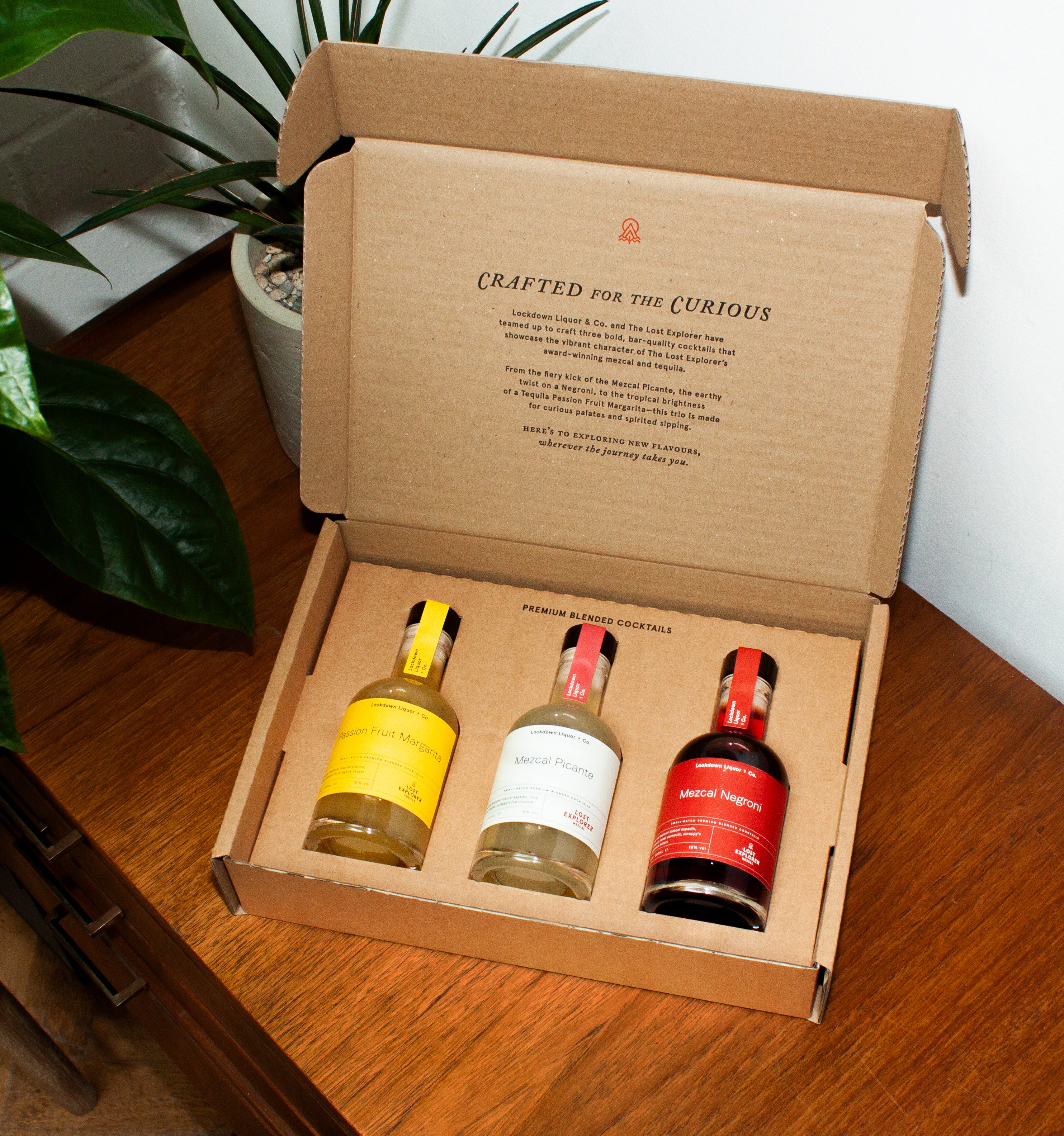 Agave Cocktail Gift Set