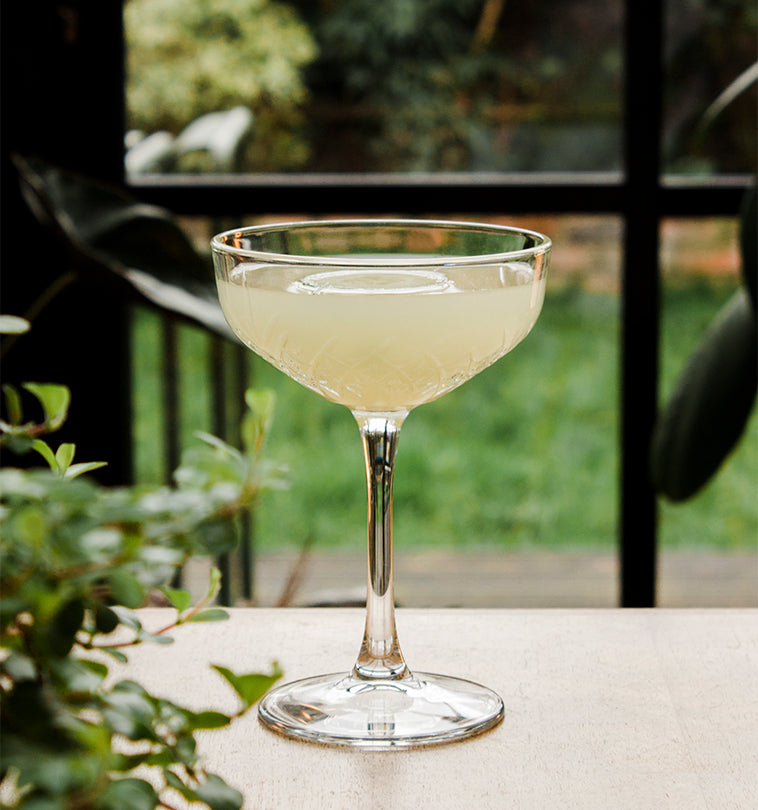Pasadena Coupe Glasses, Set of Two
